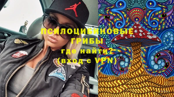 Альфа ПВП Арсеньев