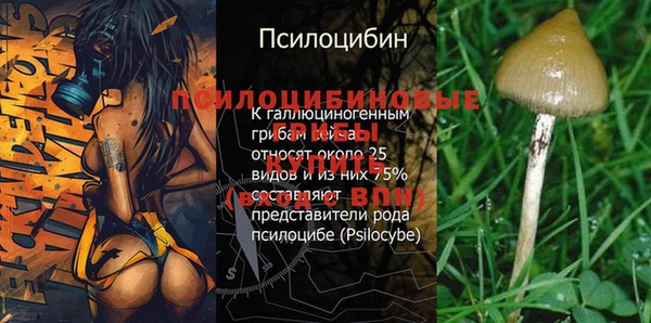 эйфоретик Балахна