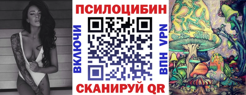 Псилоцибиновые грибы прущие грибы  Кондопога 